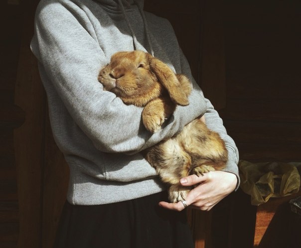 ����� �������